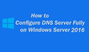 Configure DNS Server Fully on Windows Server